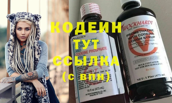 дживик Абаза