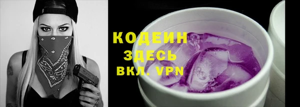 дживик Абаза