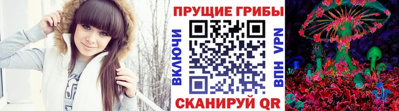 Галлюциногенные грибы Cubensis  сайты даркнета состав  Керчь 